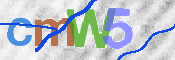 Image Anti-spam