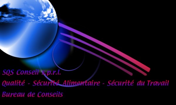 Logo SQS Conseil - V2